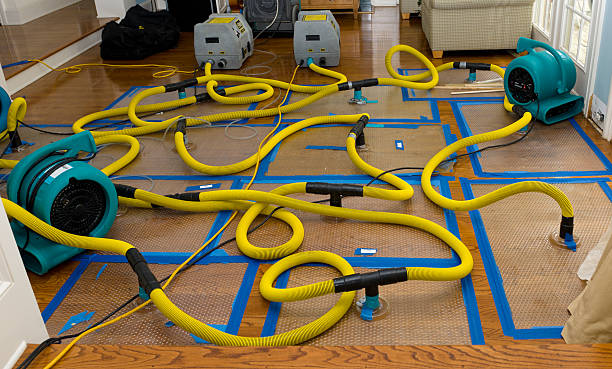 Professional Crawl Space Water Removal technician working in Troy, NH